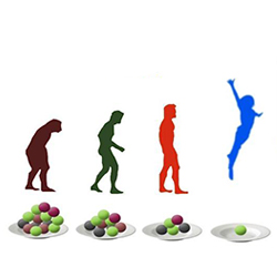 Эволюция нашего питания