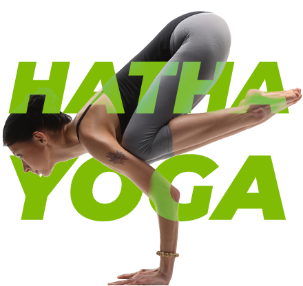 Hatha-yoga.png